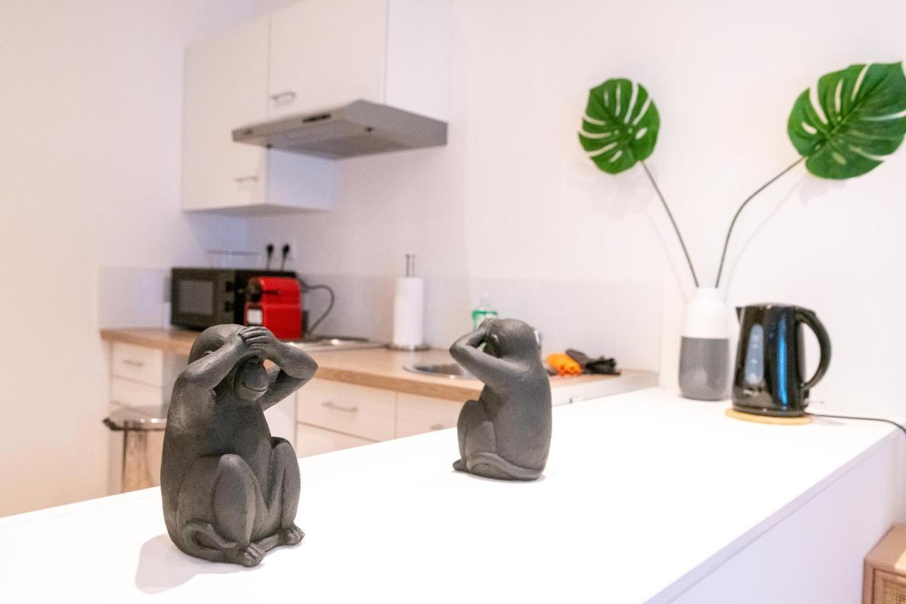 Cosy Location - Confortable, Cosy Et Equipe - Places Gratuites A Proximite Anzin Exterior photo